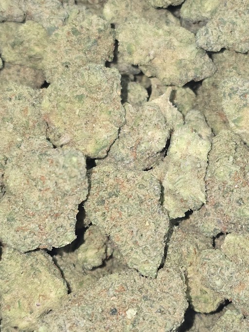 GUAVA BARZ