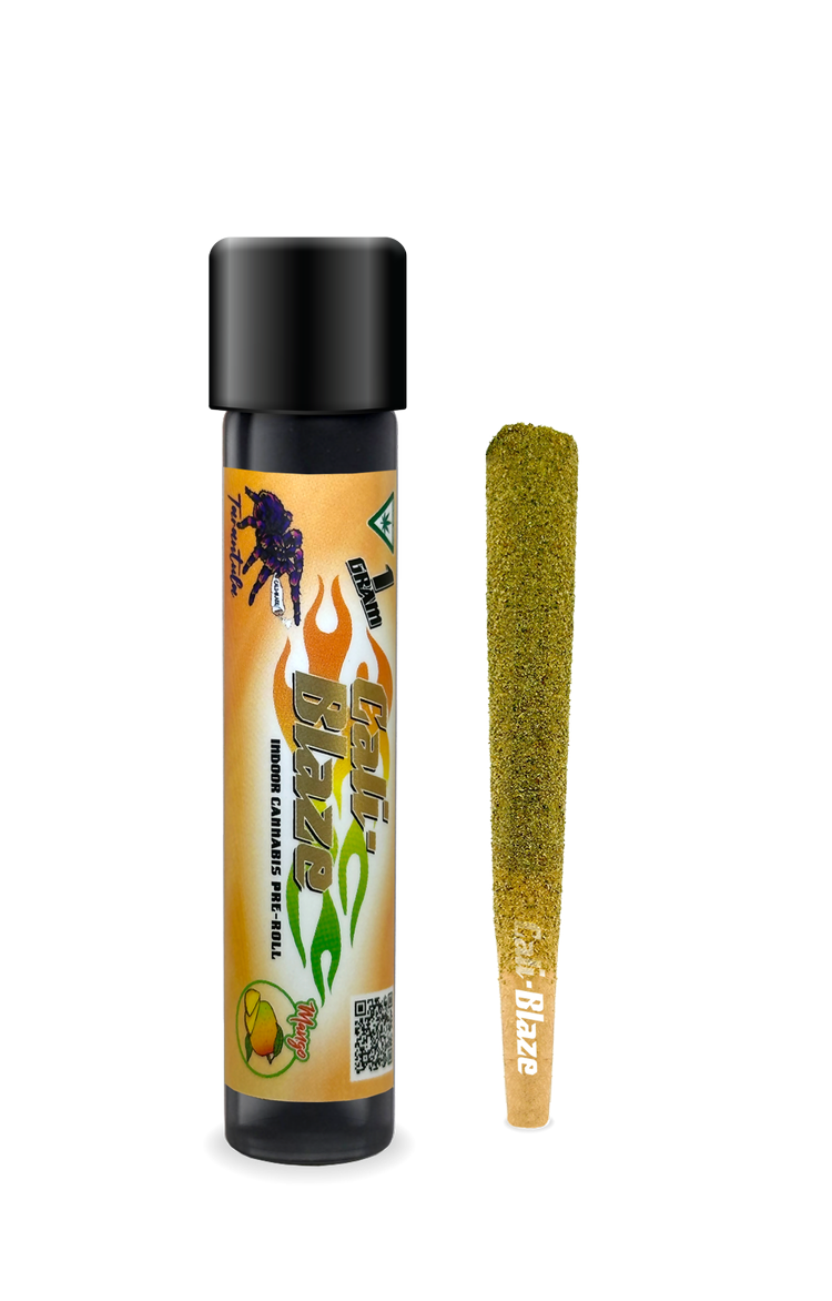 MANGO| TARANTULA