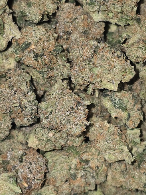 BLUE JAVA
