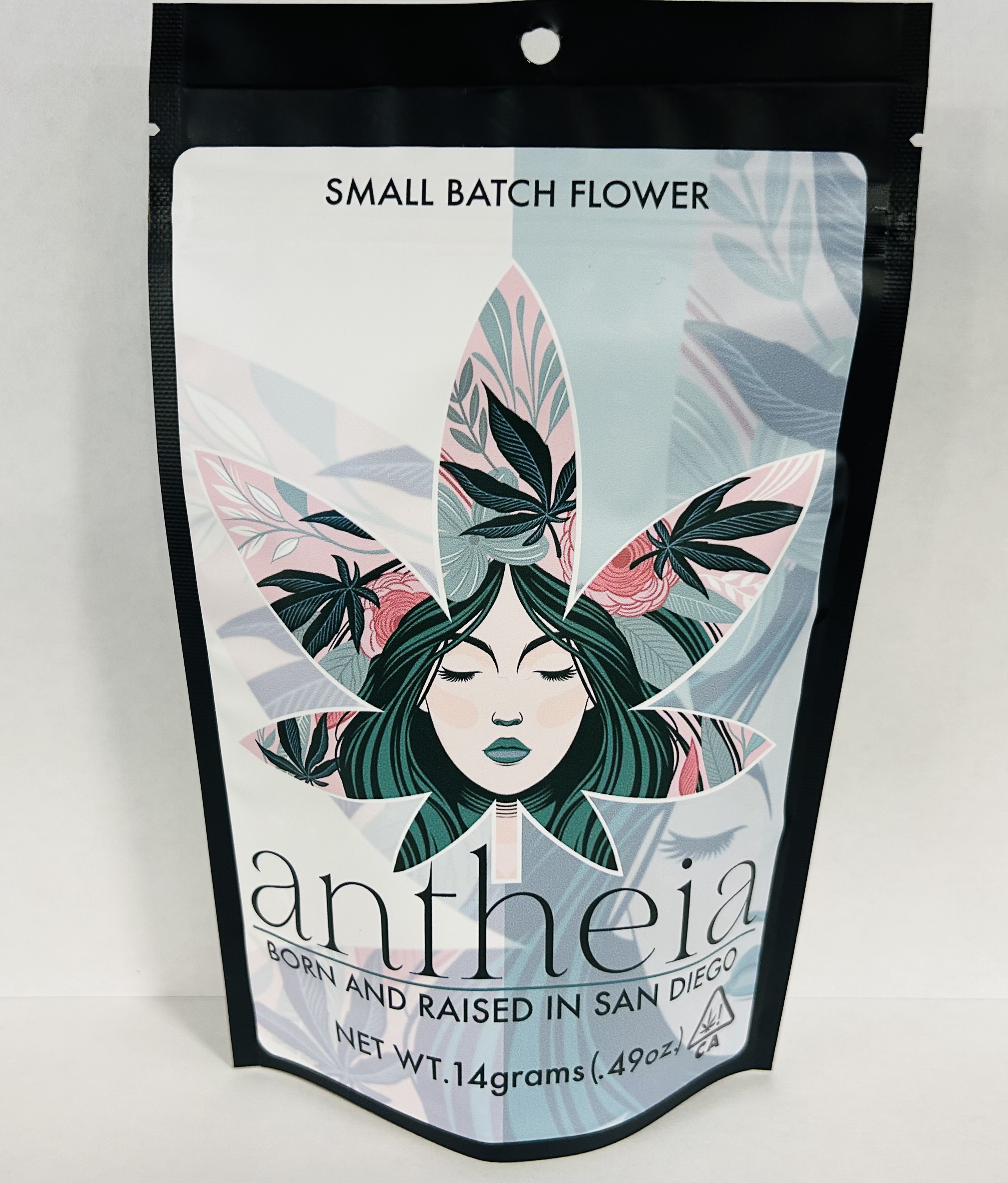 ANTHEIA | MORLEY FIELD 1904 (H) | 14G