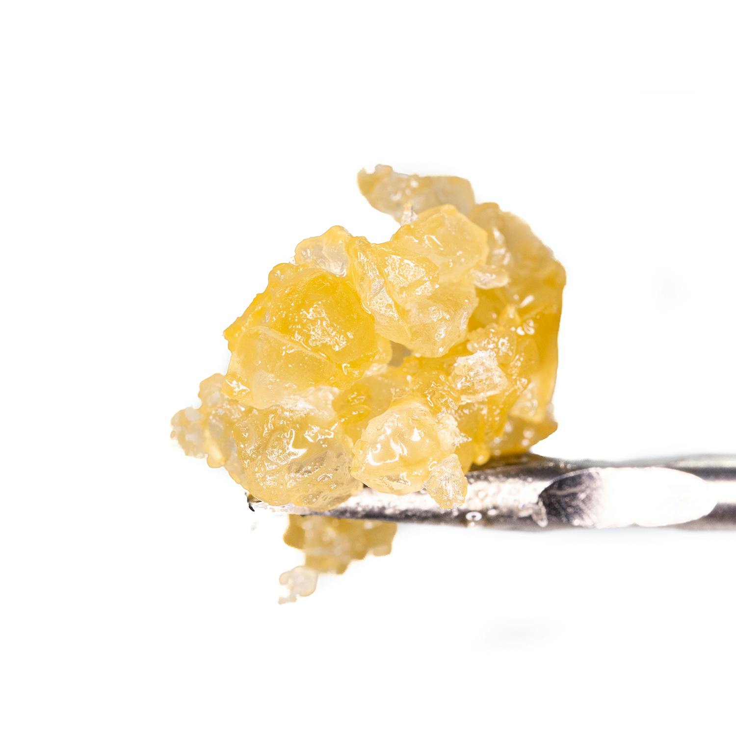 WCC | ANIMAL COOKIES (I) | 1G LR DIAMONDS