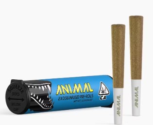 ANIMAL | BLUEBERRY PIE (I) | .5G X 2 INFUSED PREROLLS