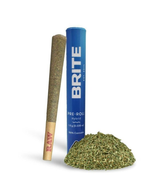 BRITE | HOOCH (H) | 1G PREROLL
