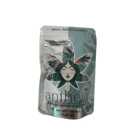ANTHEIA | BLACK'S BEACH (H) | 7G