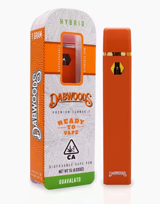 DABWOODS | GUAVALATO (H) | 1G ALL-IN-ONE