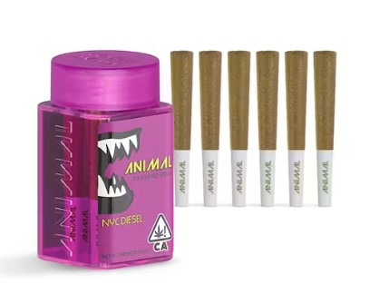 ANIMAL | NYC DIESEL (S) | .5G X 6 INFUSED