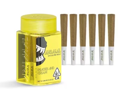 ANIMAL | PEACHES AND CREAM (I) | .5G X 6 INFUSED PRE ROLLS