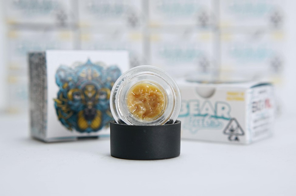 BEAR LABS | CHAMPAYA X BANANA (H) | TIER 3 | 1G ROSIN
