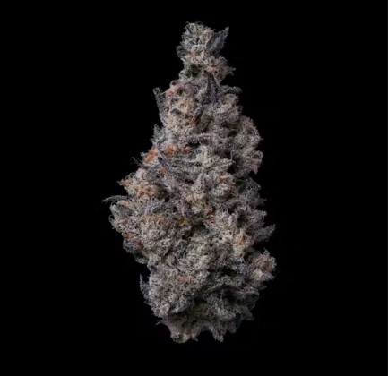 FIG FARMS | DONUT SHOP (S/H) | 7G SMALLS