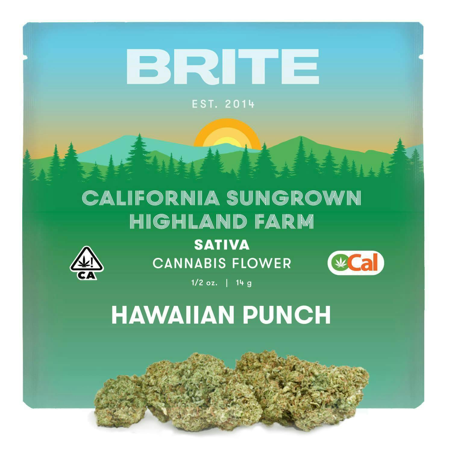 HIGHLAND | HAWAIIAN PUNCH (S) | 14G