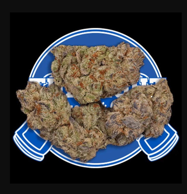 THE FIGHT | TRIANGLE OG (I) | 14G
