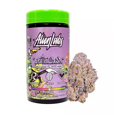 ALIEN LABS | BRAIN WASH (H)  | 10G