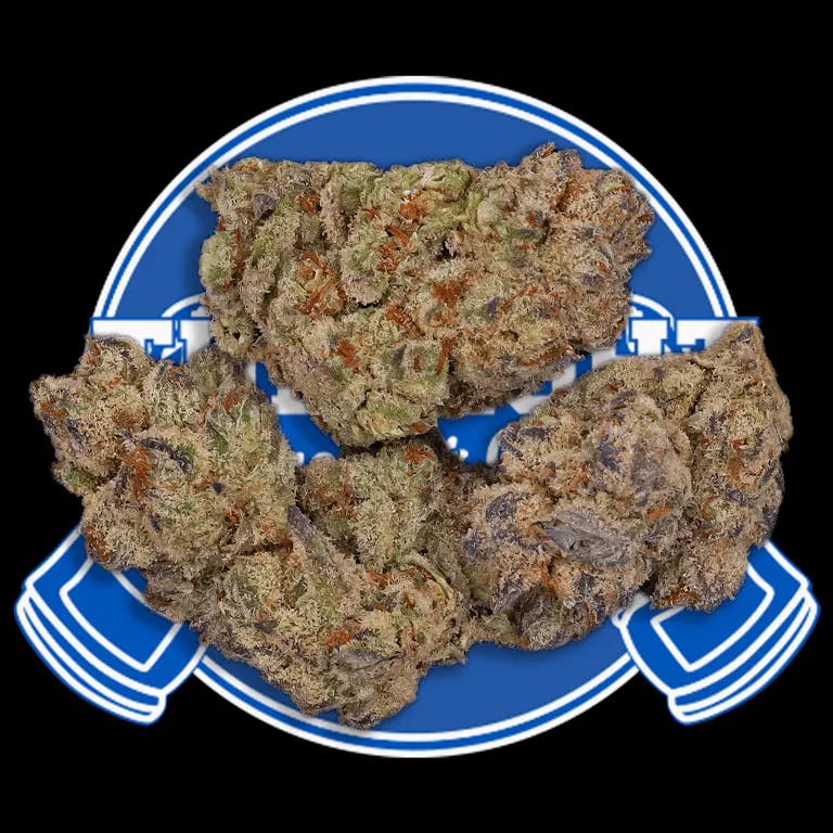 THE FIGHT | TRIANGLE OG (I)  | 1G CONCENTRATE