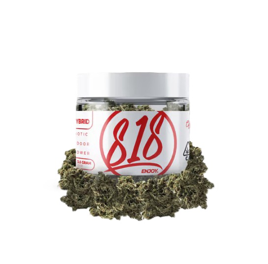 818 | THE GLUE (H) | 3.5G