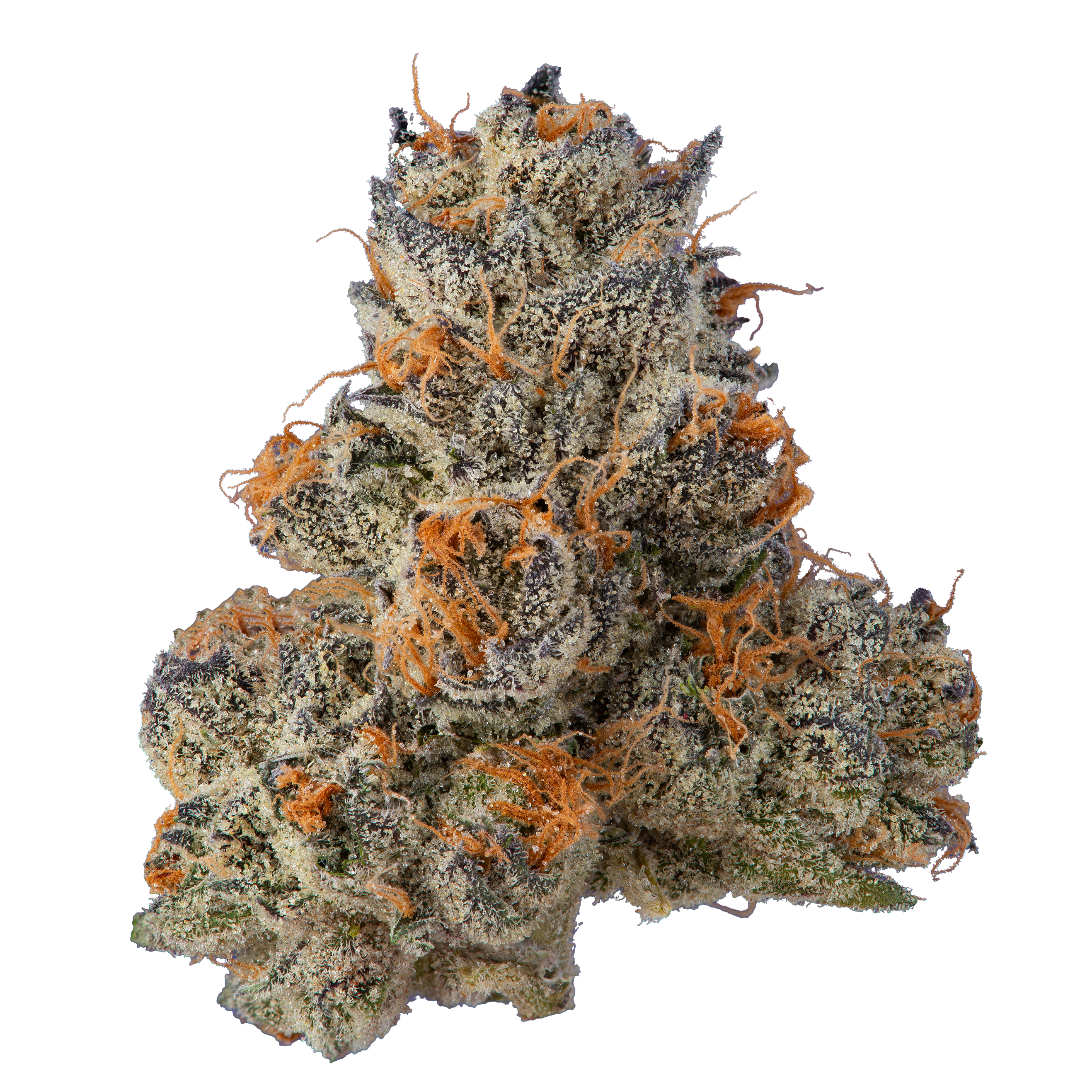 FIG FARMS | KRYPTO CHRONIC #1 (H) | 3.5G