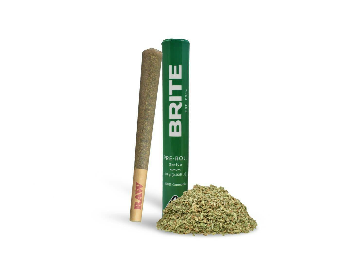 BRITE | DOUBLE LANTERN (S) | 1G PRE-ROLL