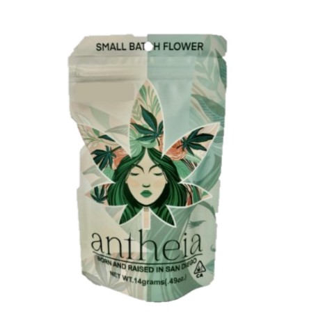 ANTHEIA | SAFARI PARK 1904 (I) | 14G