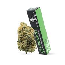 Red Congolese (s) 1G Pre-roll