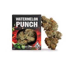 Watermelon Punch (i/h) 3.5G