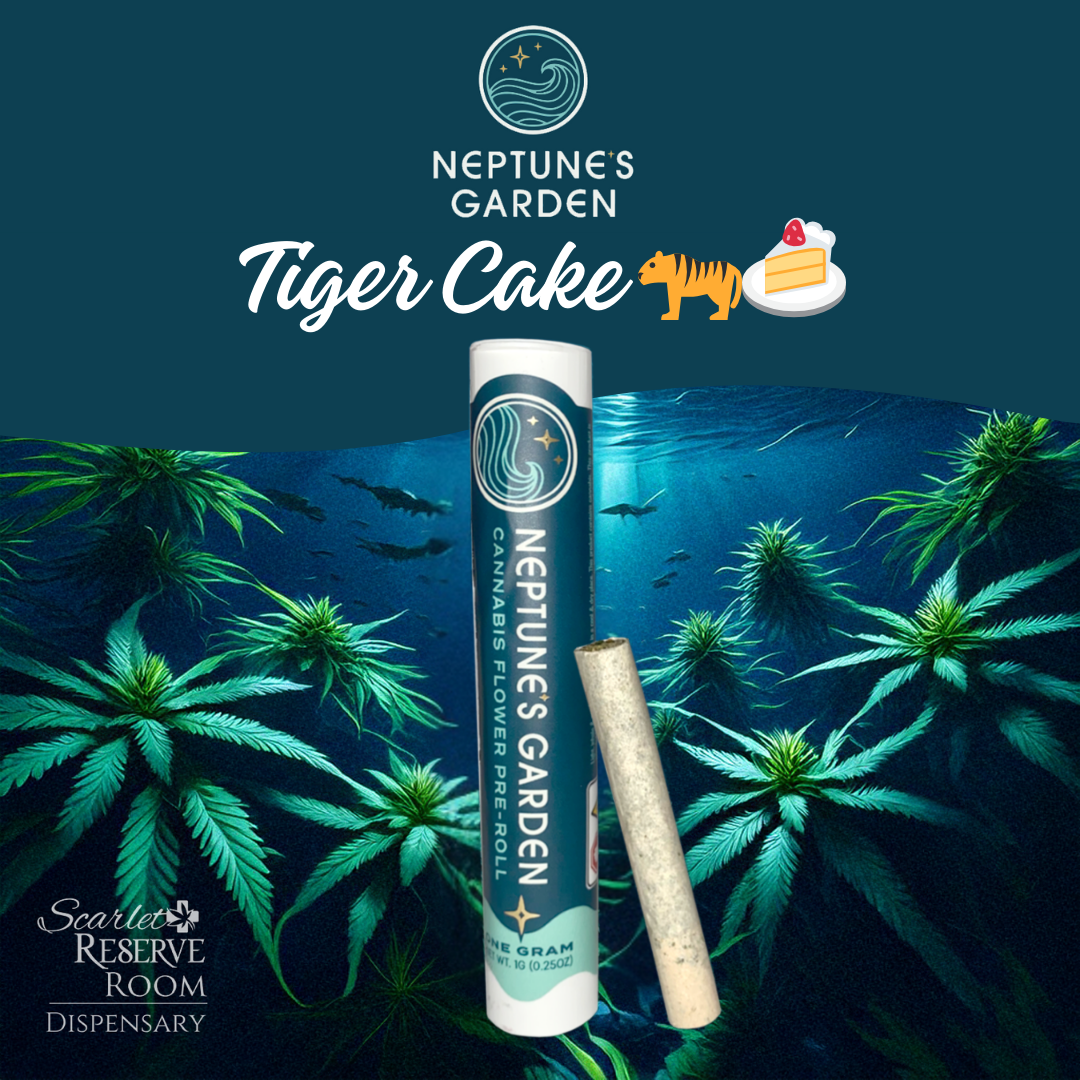 TIGER CAKE PRE ROLLS