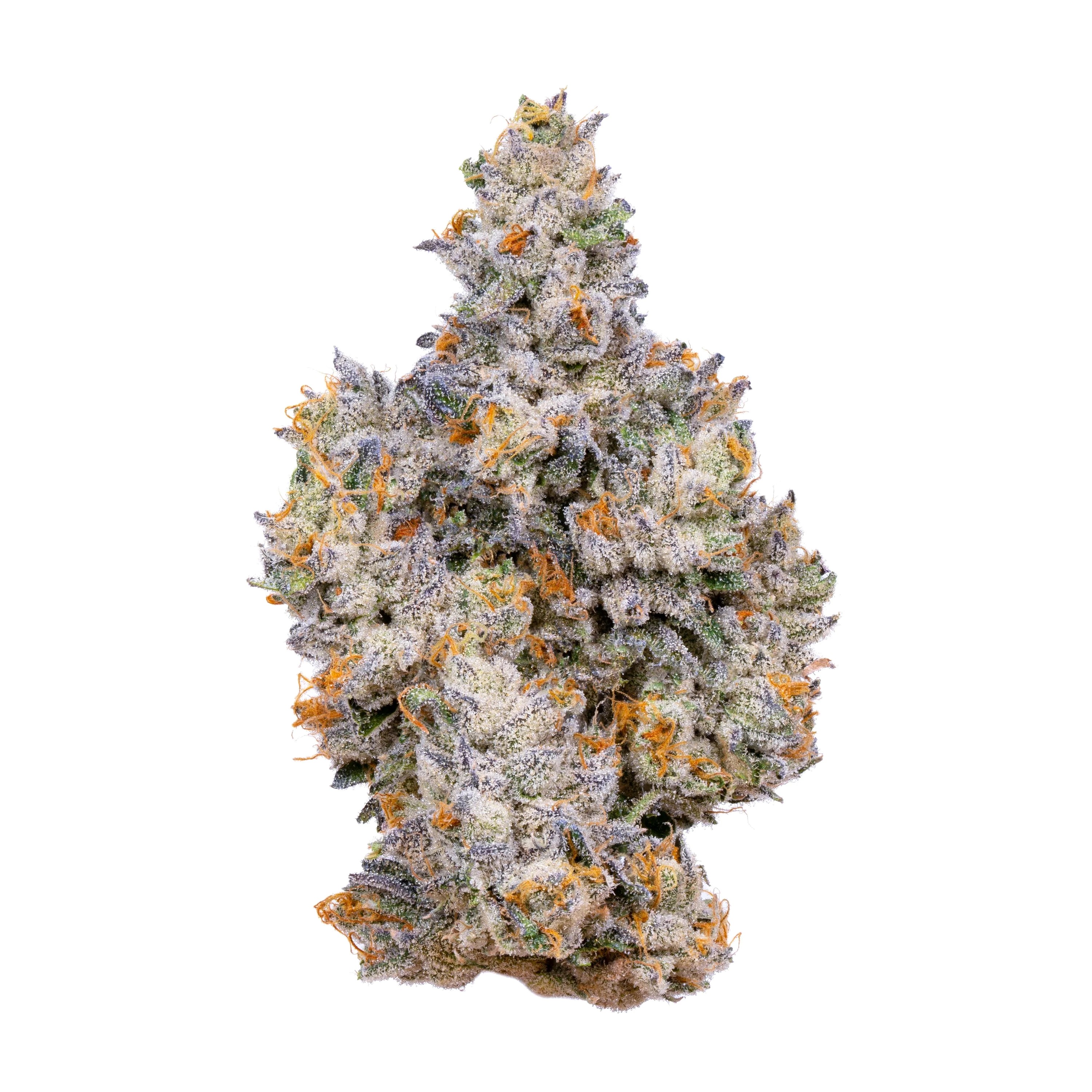Gemini 3.5G Premium Indoor Flower