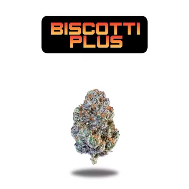 Biscotti Plus 3.5G Flower
