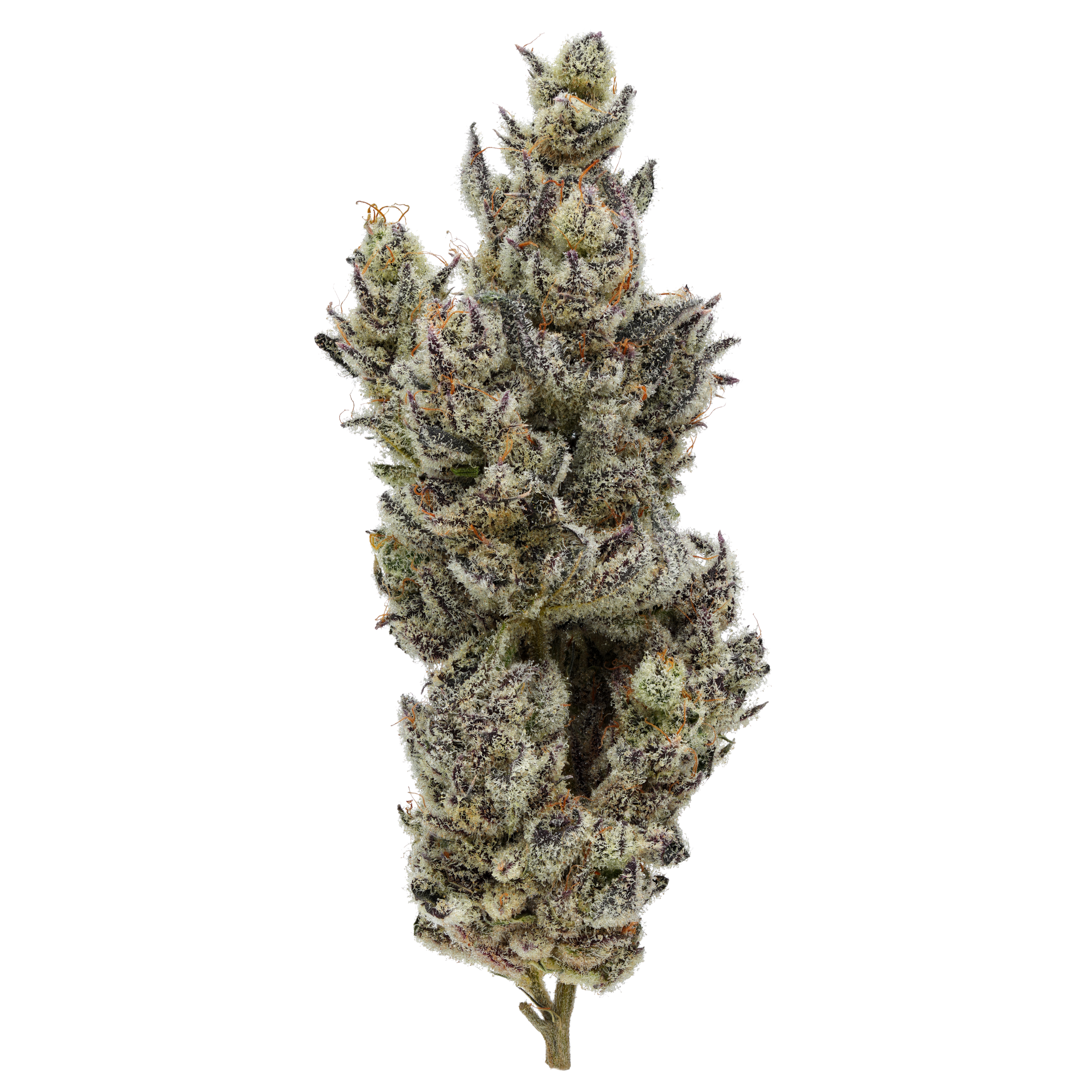 Holy Moly! 3.5G Premium Flower