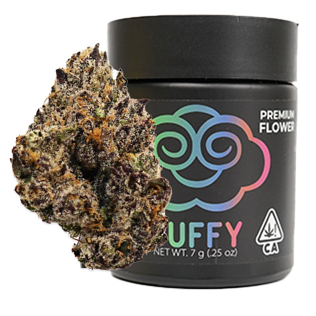 Dirty South Gumbo 7G Premium Indoor Flower