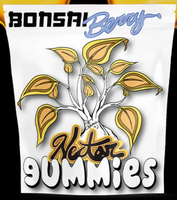 Bonsai Berry  Blueberry Cheesecake 10PK