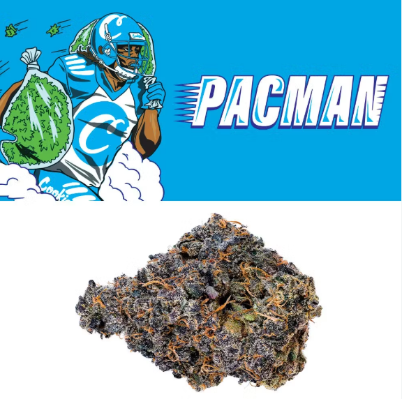 PACMAN (3.5G)