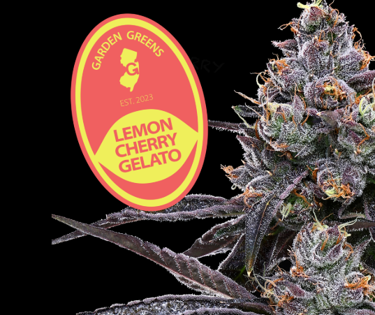 Garden Greens Lemon Cherry Gelato (big Buds)