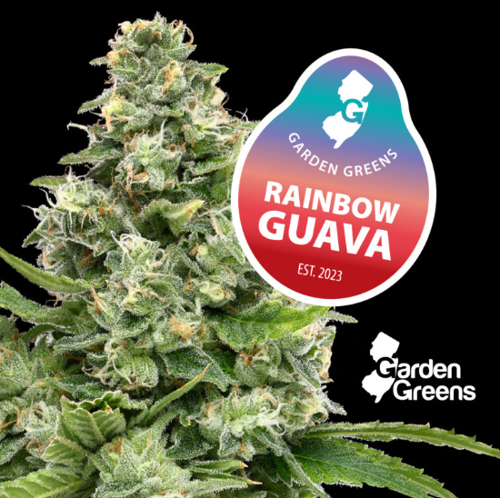 RAINBOW GUAVA (7G)