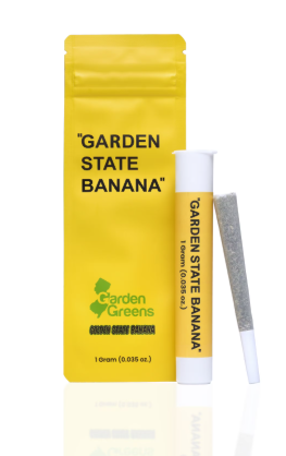 GSB RAINBOW FIZZ (1G)