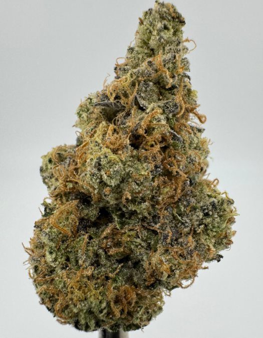 MEDELLIN (3.5G)