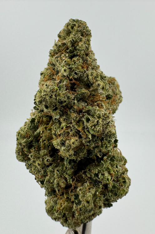 CHEM 4 (3.5G)