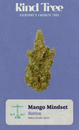 KT MANGO MINDSET (3.5G)