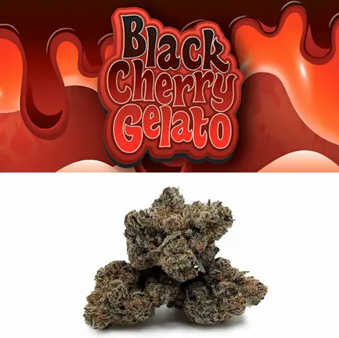 BLACK CHERRY GELATO (3.5G)