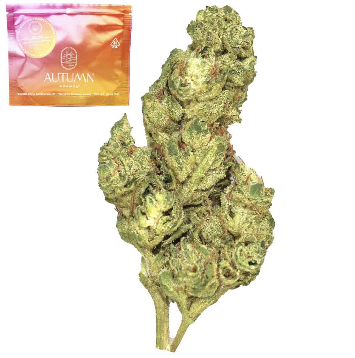 BLACKBERRY KUSH [7G]