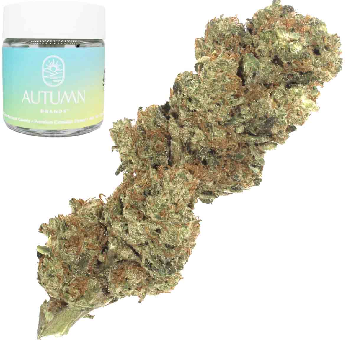 Mango Haze