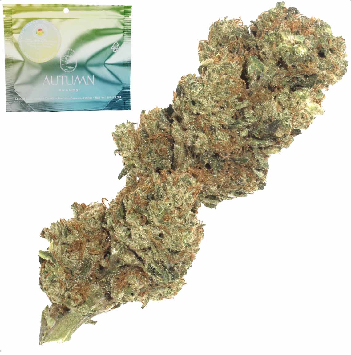MANGO HAZE [7G]
