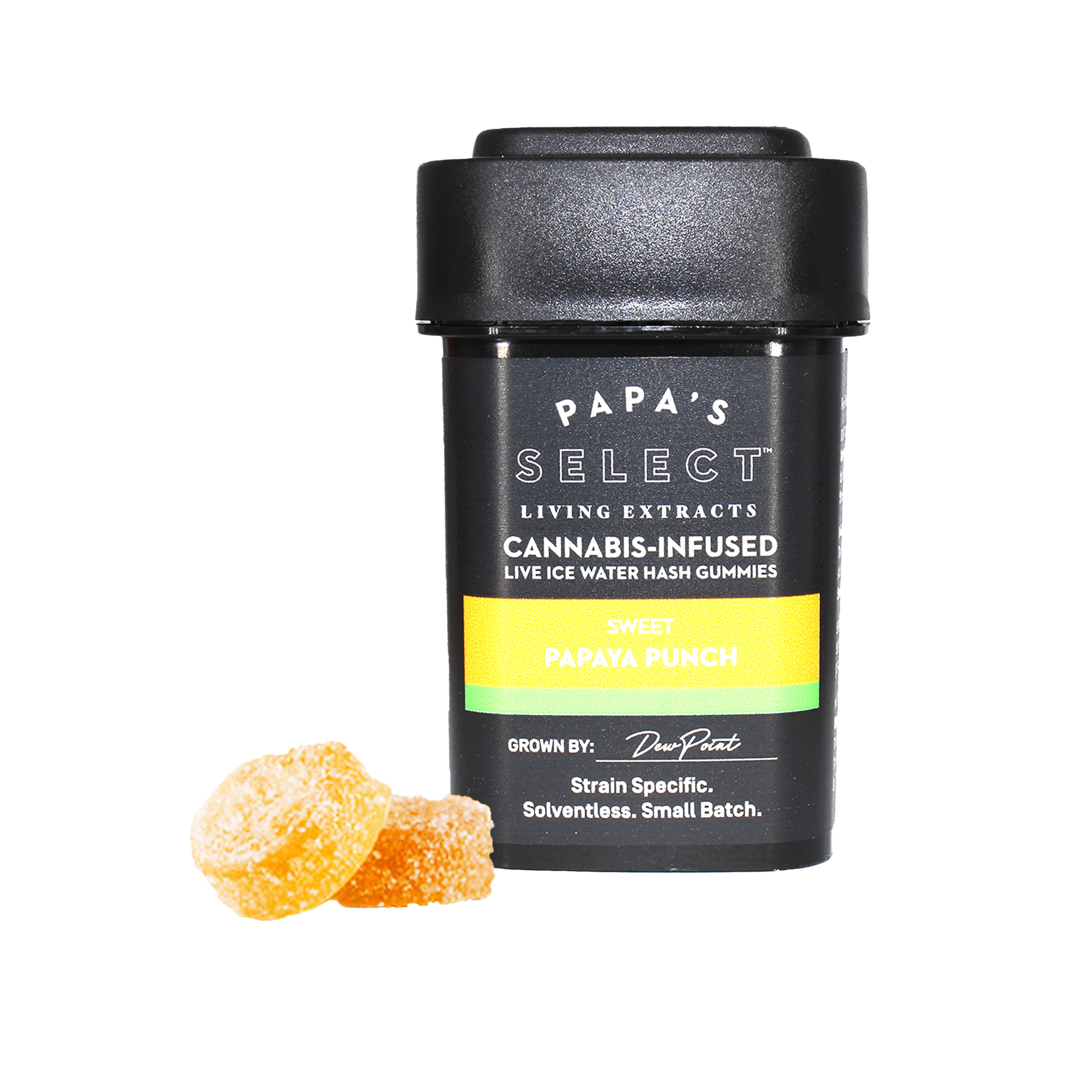 PAPAYA PUNCH [SOLVENTLESS][LIVE ICE WATER HASH]