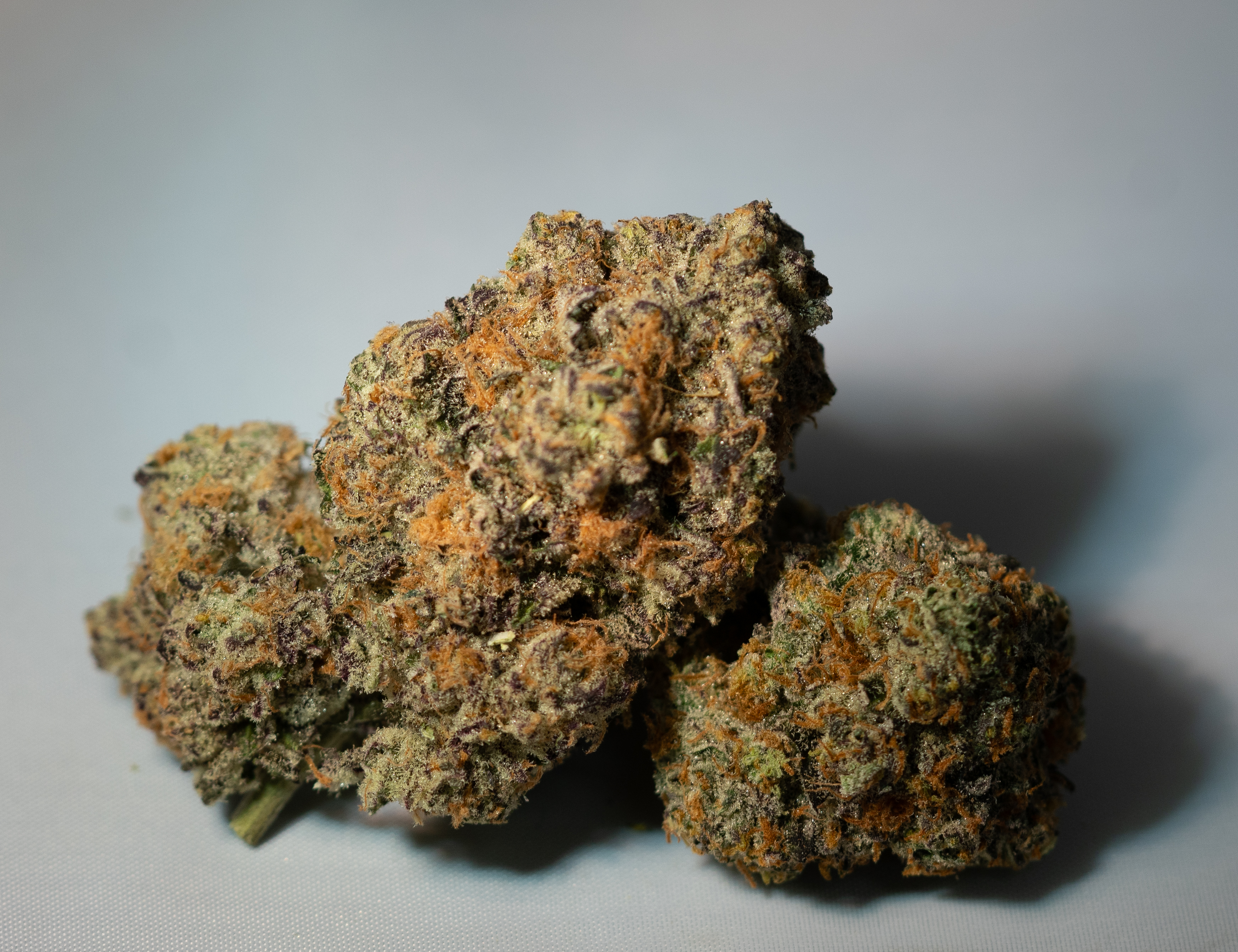 Pink Kush (i) 7G