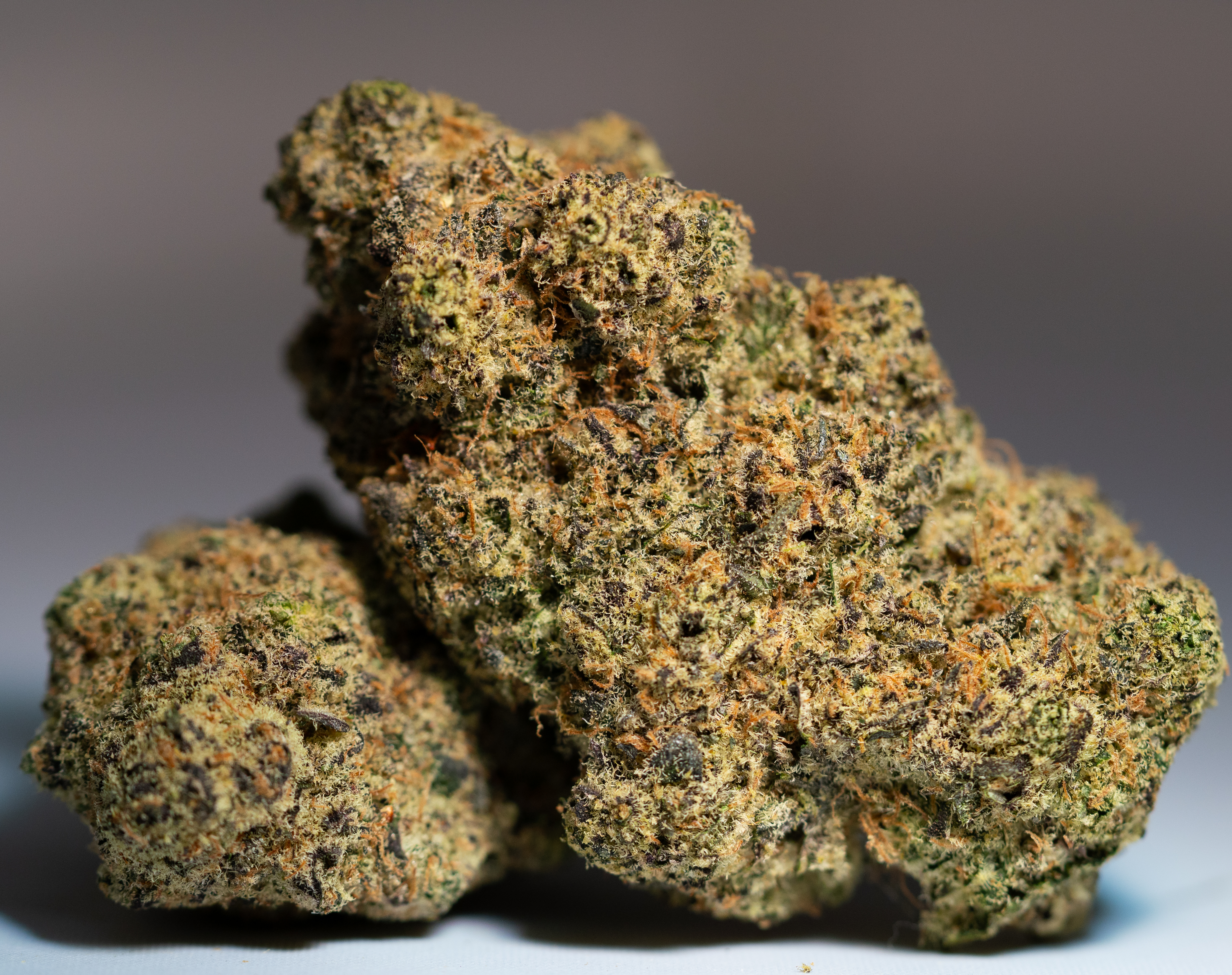 Blueberry Sugar (i) Smalls 14G