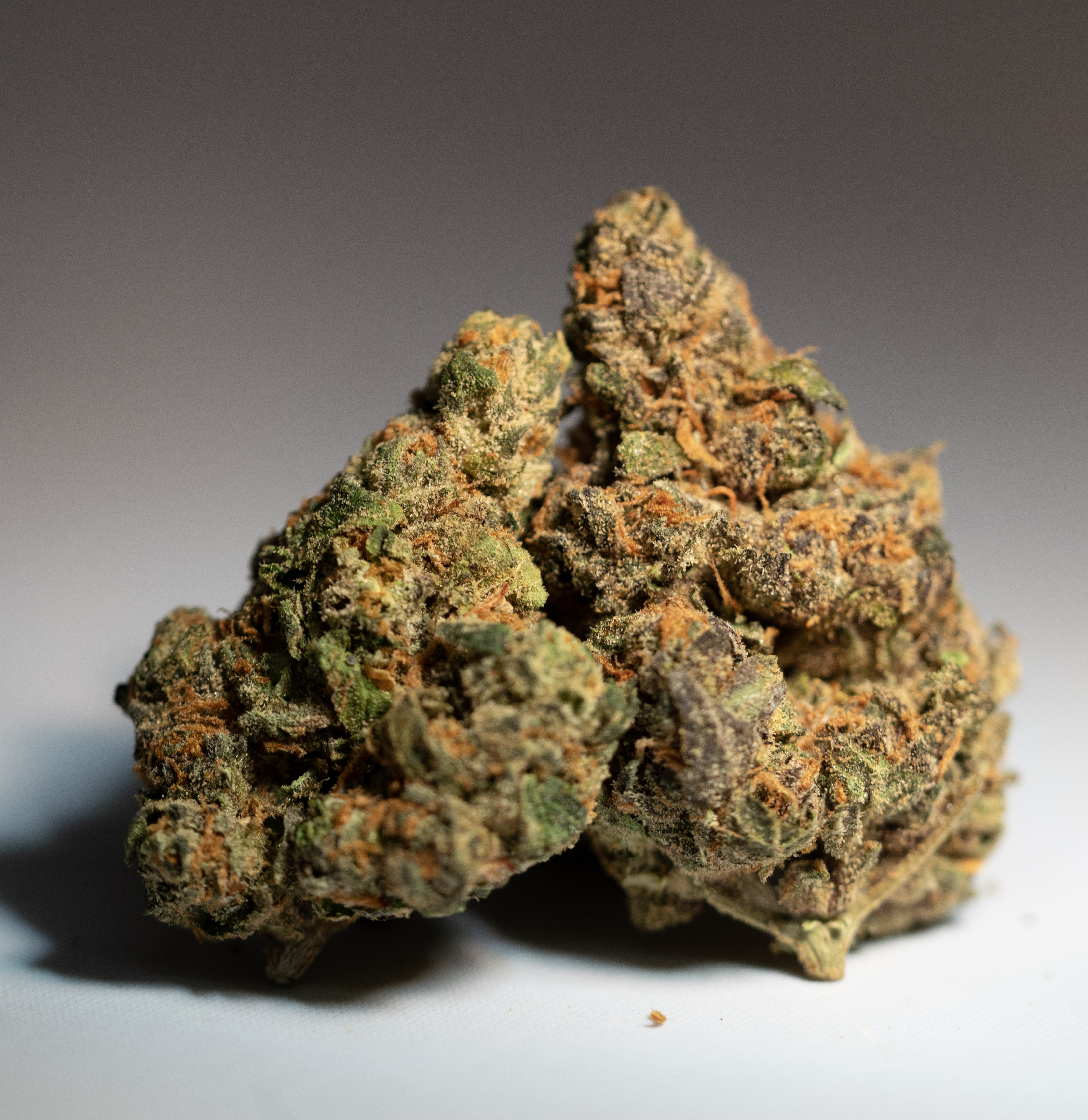 Goofiez #8 (i) 7G