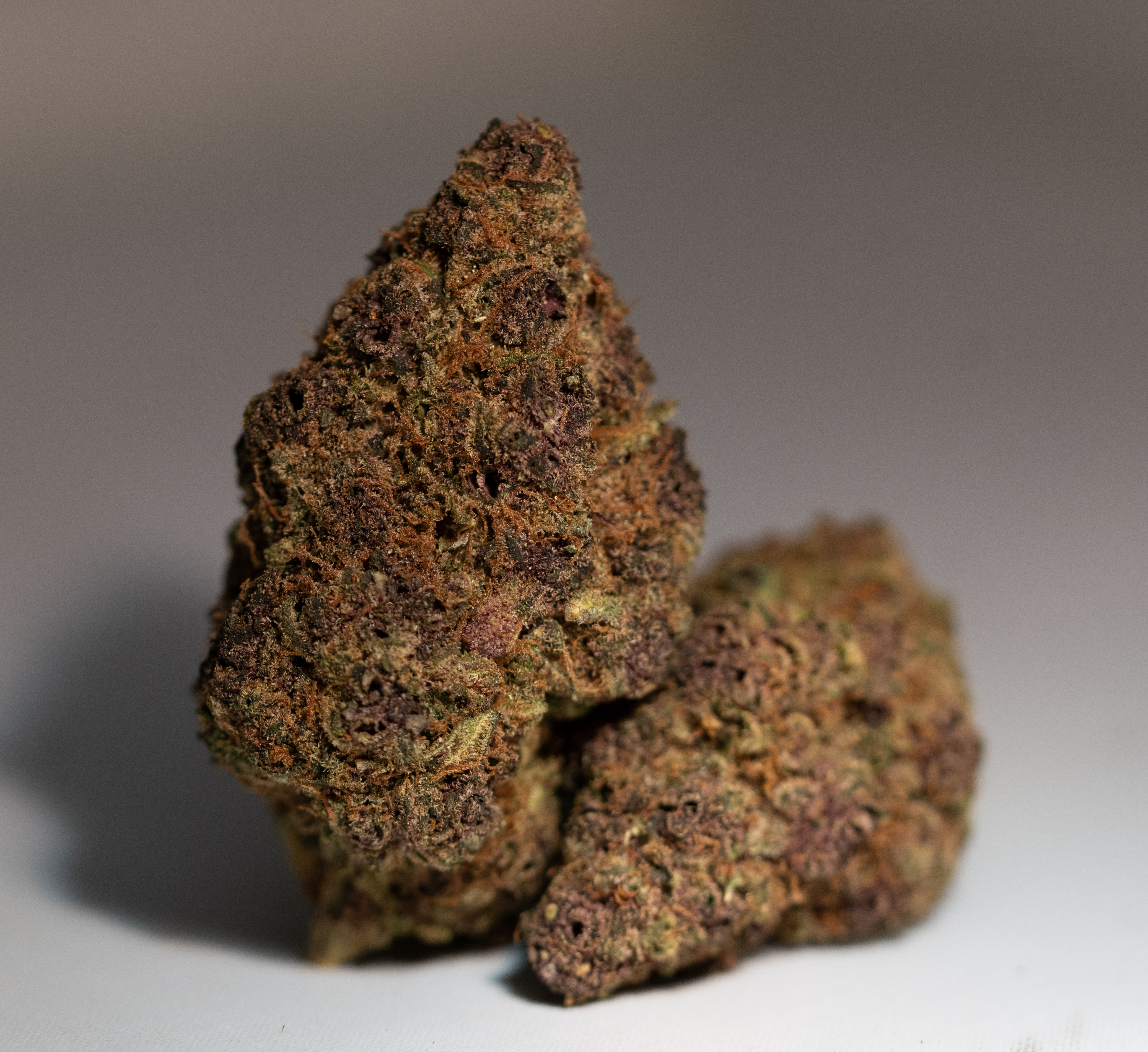 Trop Cherry (h) 3.5G