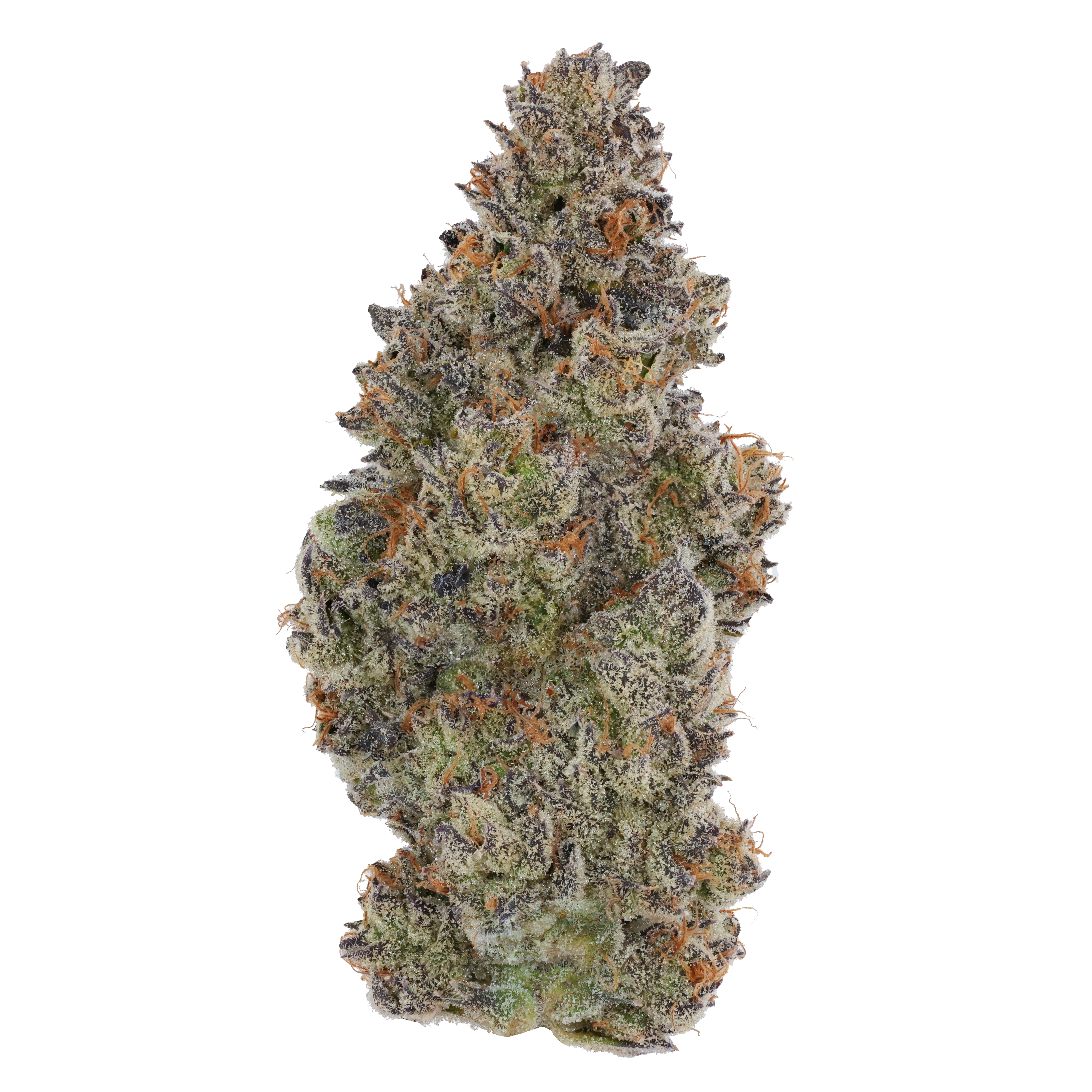 Kronuts (i) 3.5G