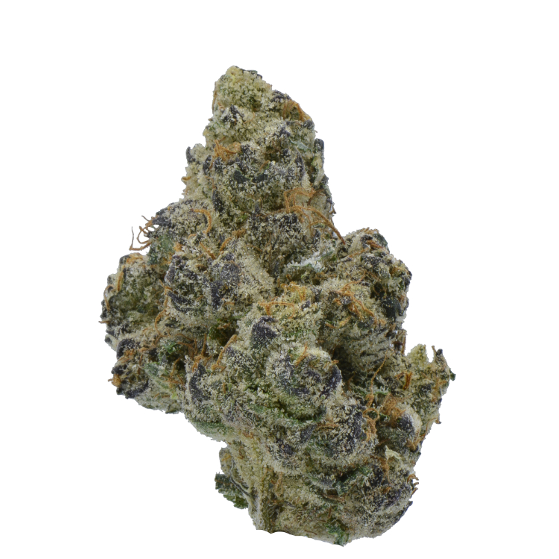 Zushi (h) 3.5G