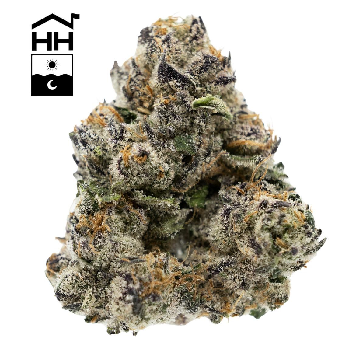 G41 | Bulk A Buds