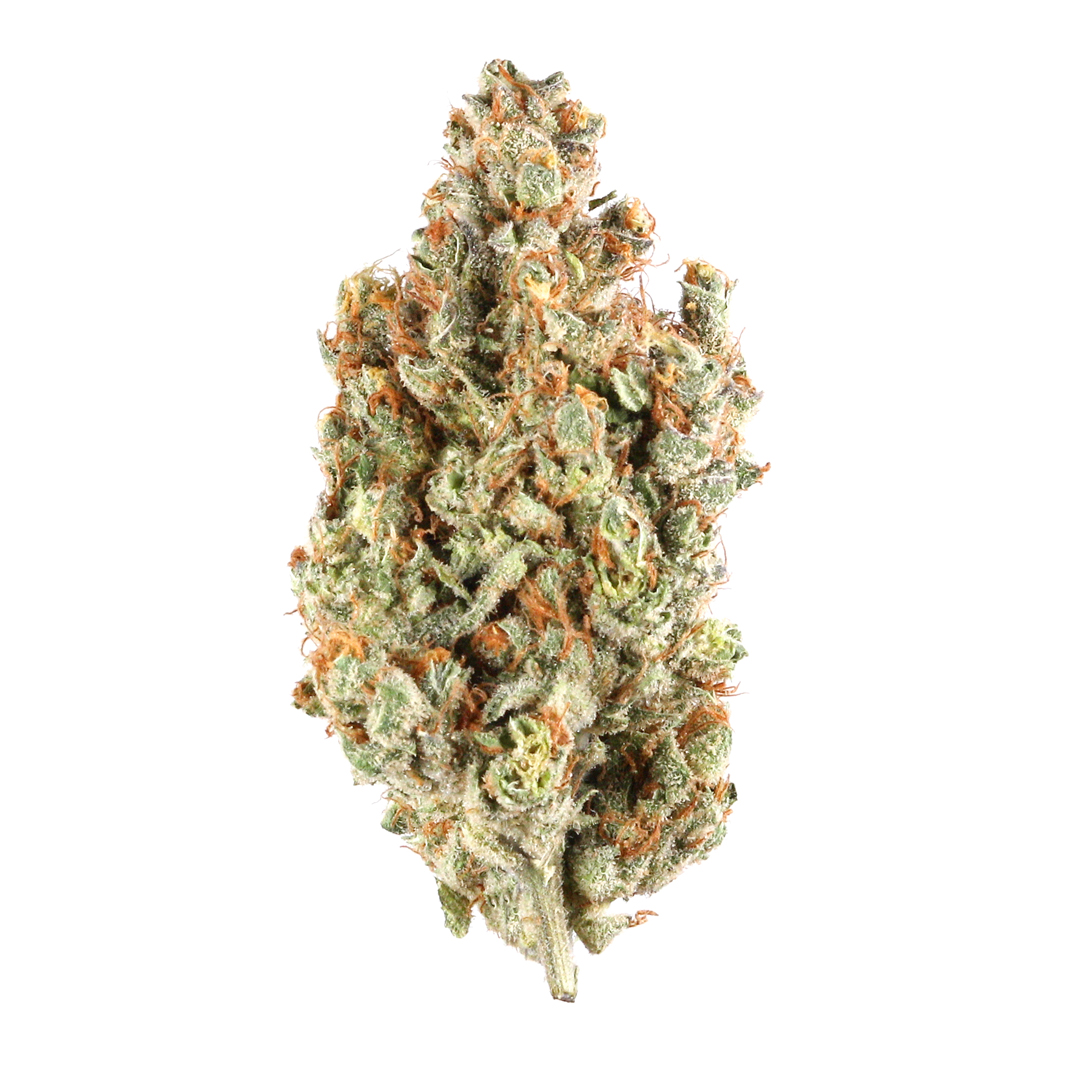 Smackz | Bulk Premium A Buds