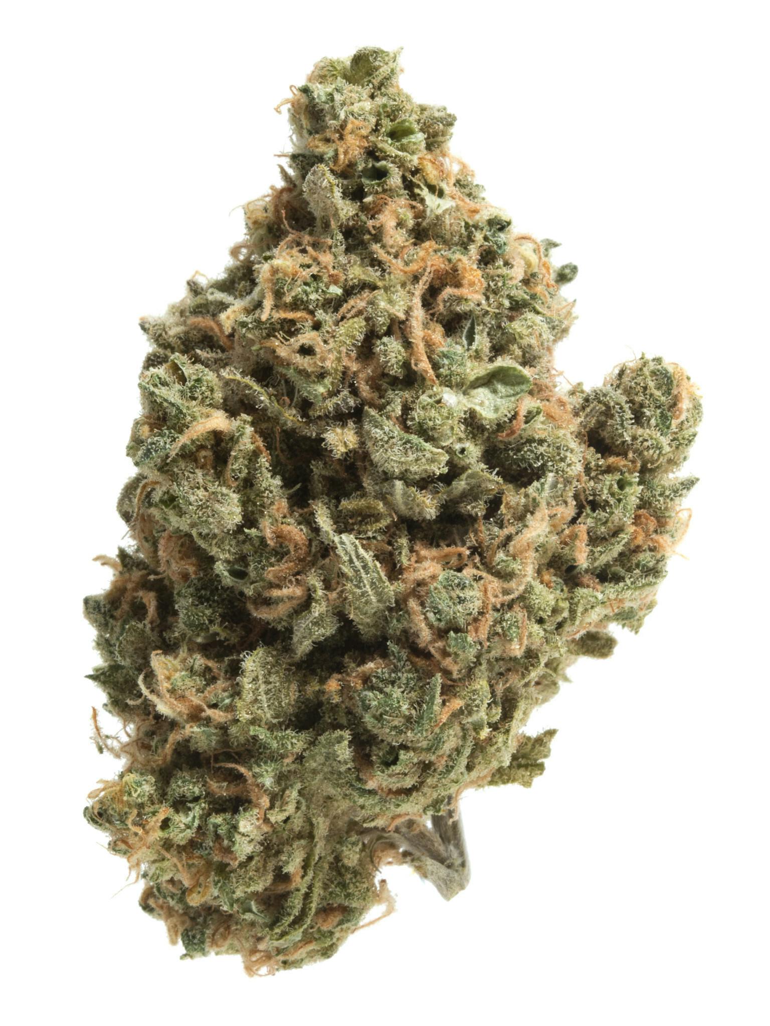 Banana Runtz | 3.5G Flower